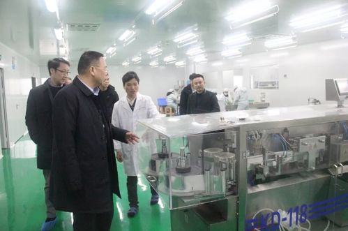 瀏陽(yáng)經(jīng)開區(qū)黨工委副書記談文昌深入調(diào)研道和生物制藥廠，并強(qiáng)調(diào)以產(chǎn)教融合賦能長(zhǎng)沙教育咨詢發(fā)展